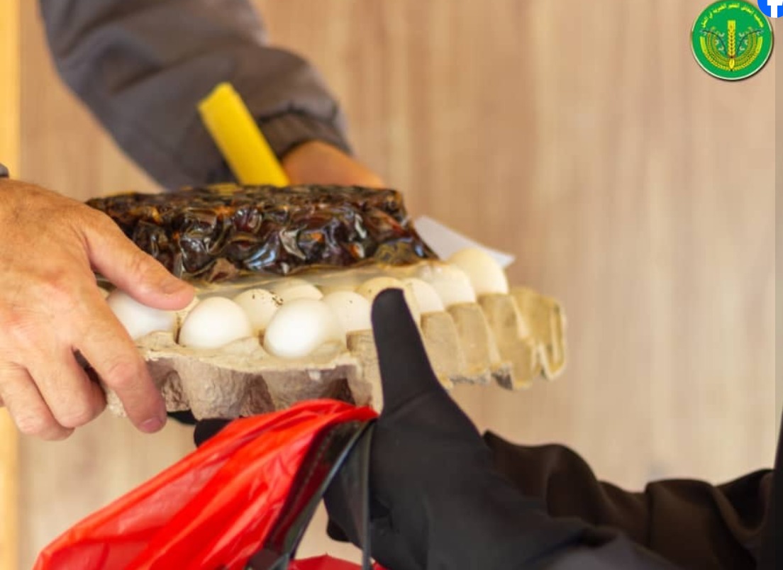 الإنتهاء من توزيع المساعدات العينية والنقدية للشهر الثامن